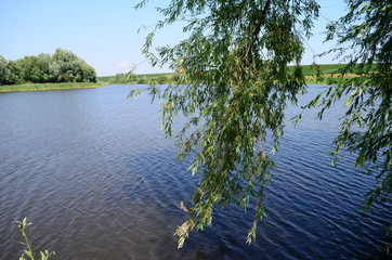 Summer landscape with lake in the field and blue sky.