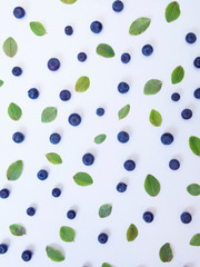 Blueberries and small green leaves on a white background