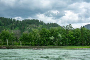 trees by the turquoise river and thunderclouds