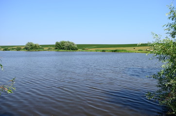 Summer landscape with lake in the field and blue sky.