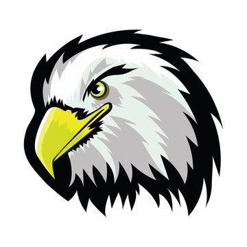 Stylized White American North Bald Eagle Head Tattoo Design. Logo Prey Bird Isolated on White Background. Predator Hawk Mascot. Symbol of Freedom.