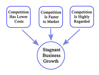 Causes of Stagnant Business Growth.