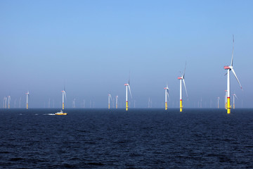 Wind farm offshore. CO2-neutral production of electricity