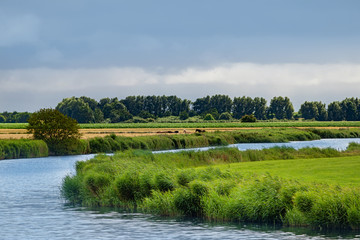 Deich in Ostfriesland Norden mit Pferden auf einem Fed