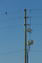 Powerlines, insulators and switches at a pole in front of blue sky