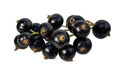 Fresh black-currants isolated on white background with clipping path