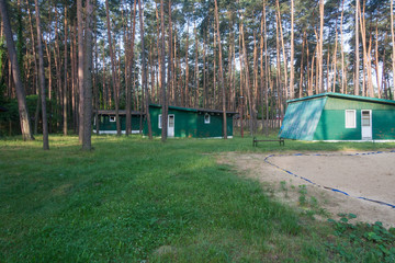 Holiday houses in a pine forest. Summer resort.  Sulejow, Poland