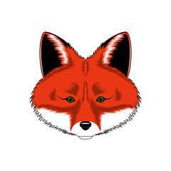 Vector image of a fox. Image on white background.