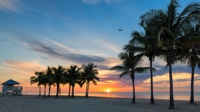 Sunrise at palm trees by the ocean beach in Key Biscayne, Florida