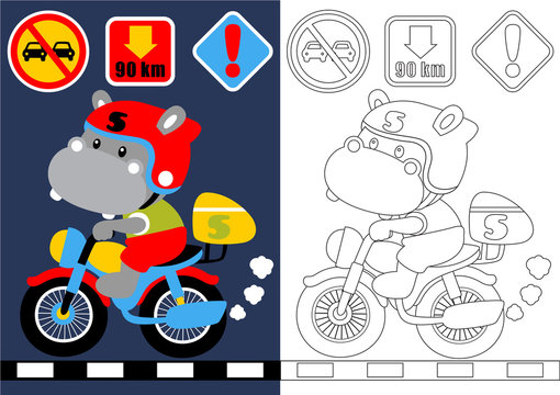 vector cartoon of hippopotamus riding motorcycle with traffic signs, coloring book or page