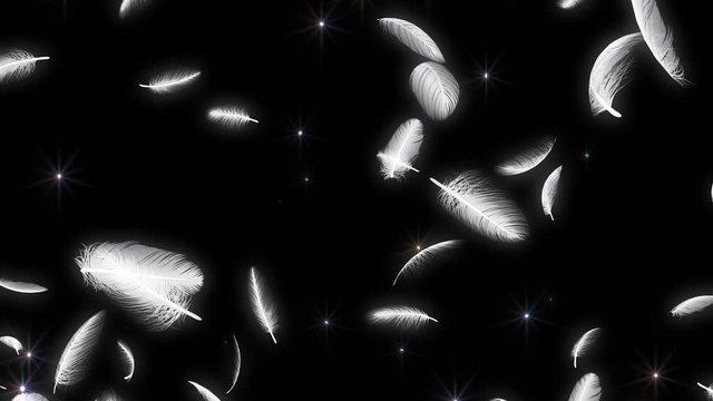 Feather fluffy falling in the wind background