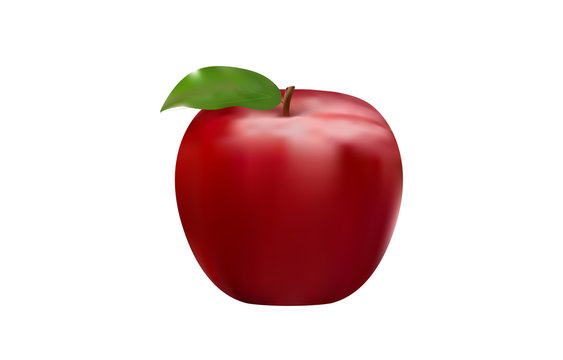 fresh red apple, healthy fruit, closeup drawing