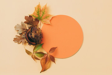 Autumn greeting card. Orange mockup circle paper with fall leaves and chestnut decor on pale peach...