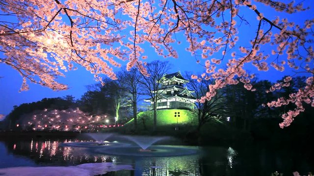 Takada Castle in spring at night, Joetsu, Niigata Prefecture, Japan
