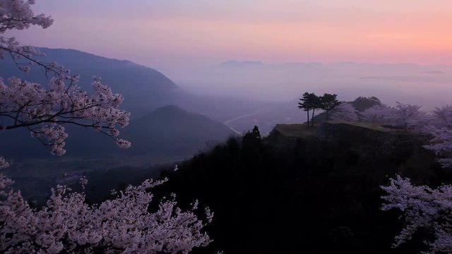 View of blooming trees in mountains, Asago, Hyogo Prefecture, Japan