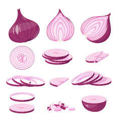Red Onion cartoon illustration Isolated on white Vector
