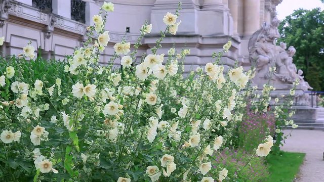 Flowers near Petit Palais, Paris, France