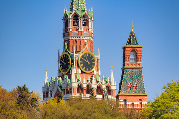Spasskaya tower of Moscow Kremlin on a background of green trees and blue sky in sunny morning