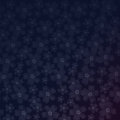 Luxury floral background with soft primula flowers