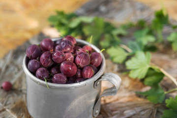 Gooseberries in a metal Cup. Rustic style
