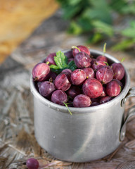 Gooseberries in a metal Cup. Rustic style