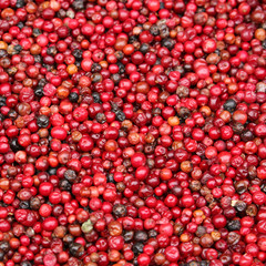 lots of cranberries.