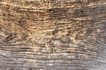 Old natural wooden shabby background close up. Abstract background, empty template. Top view