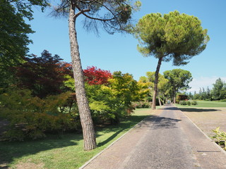 Parco Giardino Sigurtà - Traumpark in Valeggio sul Mincio 