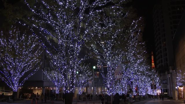 Christmas lights on trees in city at night, Minato, Tokyo, Japan