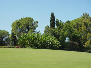 Parco Giardino Sigurtà - Traumpark in Valeggio sul Mincio 