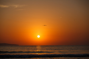 Fototapeta na wymiar Beautiful sunset landscape. Amazing summer sunset view on the beach.