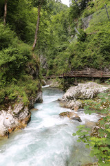 Azure water of the Vintgar gorge, Slovenia