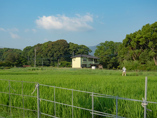 Fototapeta na wymiar 日本の田園風景