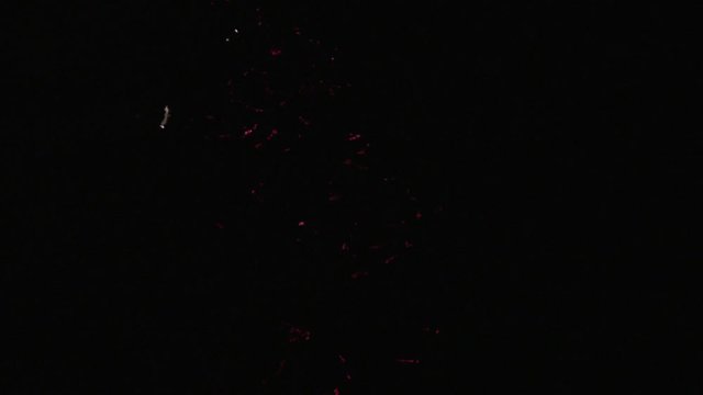 View of fireworks reflected in water, Sumida, Tokyo, Japan