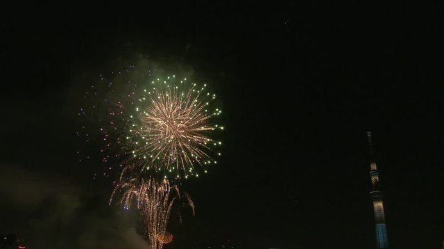 Firework display in sky at night, Sumida ward, Tokyo, Japan
