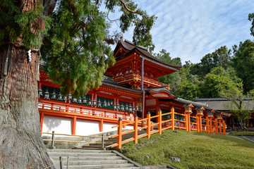 Fototapeta premium 奈良県 春日大社