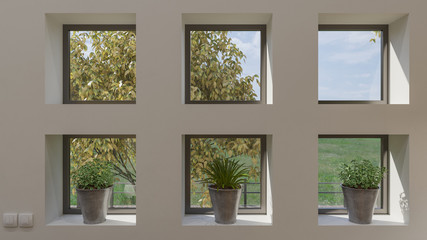 Small Windows with Niches and Potted Plants in Daylight 3D Rendering