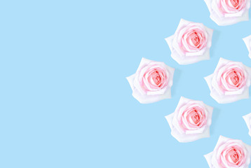 Floral pattern with a pink rose on a blue background.