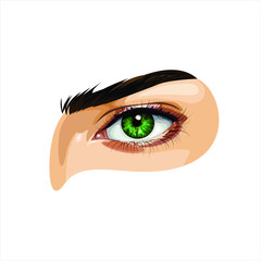 Realistic brown eye with eyelashes on white background