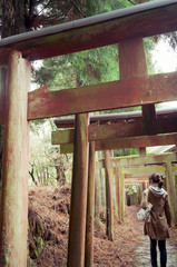 torii, shrine gates