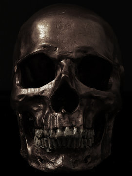 dark image of a skull.