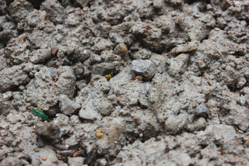 stone nature wet dirt earth asphalt road texture pebble monolith granite flint rock boulder cobblestone abstraction background