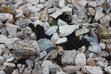 stone nature wet dirt earth asphalt road texture pebble monolith granite flint rock boulder cobblestone abstraction background