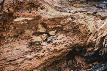 tree earth texture abstraction background wood log stump