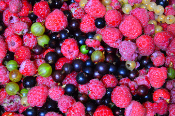  Berry assorted. Raspberry-strawberry-currant - gooseberry mix. Colored background. The view from the top.