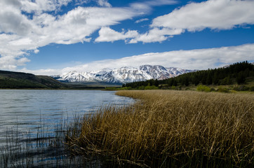 Patagonian landscape of lake with snowy mountains and forest
