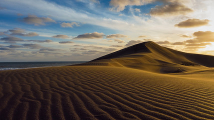 Fototapeta na wymiar Golden sand dunes on beach sunset sunny day