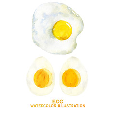 Watercolor illustration of egg
