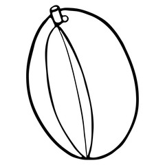 Outline fruit mango.
