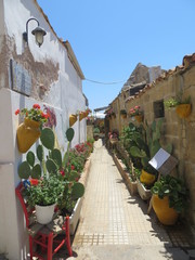 estate